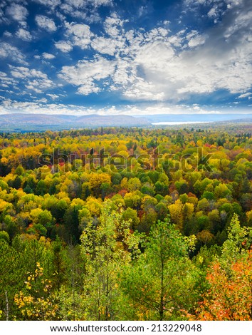 A high view of tree tops in a forest during the autumn season with a lake in the distance.  Scene from the top of Lookout Trail, Algonquin Park, Ontario, Canada.