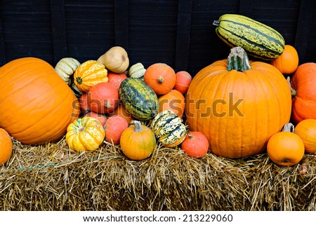 A variety of pumpkins, gourds, and squash displayed outside on hay stacks during the autumn season.