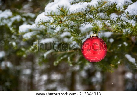 A single red Christmas ball decoration is hanging off a snow covered spruce tree outside.  Room for copy space.