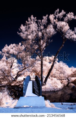 A surreal infrared photo of a bridge over water in a park like setting.  Photographed with a 665nm infrared converted camera.
