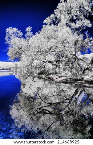 An infrared photo a river bank in a forest.  Photographed with a 665nm Infrared camera.