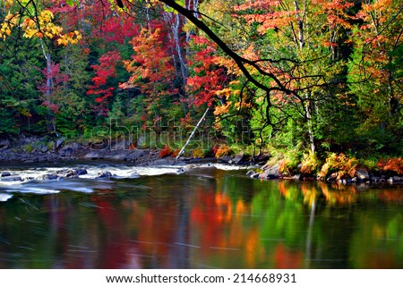 A stream runs though a colorful forest during the autumn season reflecting the colors of the trees.