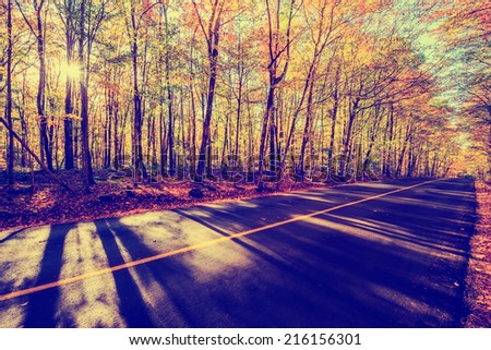 A shot by a rural road with colorful treed landscape on either side during the autumn season.  Filtered for a vintage retro look.