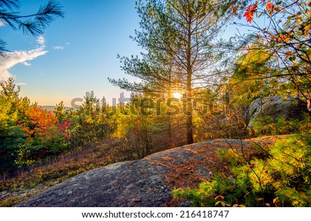 The sun shines through trees in a rocky forest landscape during the autumn season.