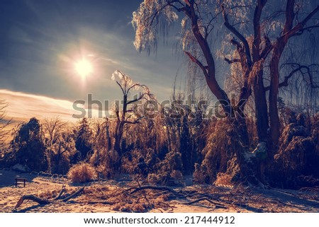 The sun shines casts an orange glow on a frozen park landscape with ice covered trees and branches.  Some large tree branches are broken on the ground.  Filtered for a retro, vintage look.