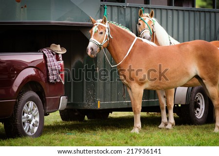 Two Palomino horses stand waiting beside a horse trailer hooked up to a pickup truck during a competition at a fair.