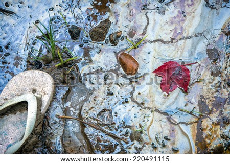 Shoreline contaminated with garbage and hazardous toxic chemical gasoline waste.  A discarded child\'s sandal iconic of the human carbon footprint, and a red maple leaf rests beside the sandal.