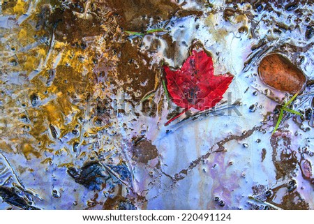Shoreline where hazardous toxic chemical oil and gasoline waste have washed ashore.  A red maple leaf, an icon of Canada, floats in the contaminate.