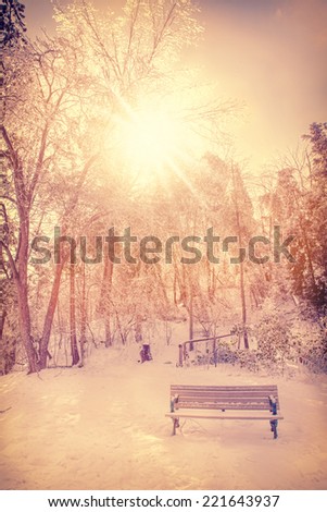 The sun shines brightly behind ice covered trees and bench in a park after an ice storm during the winter season.  Filtered for a retro, vintage look.