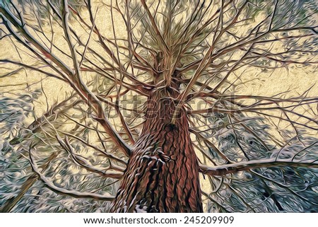 A low angle view of a eastern white pine tree in a snowy forest during the winter season.  Digital Painting with canvas texture.