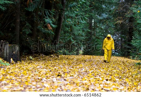 A man walks in the rain on an autumn day through the leaves wearing a yellow rain slicker.