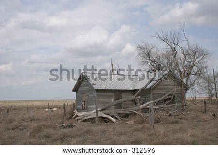 Tumbleweed house, horizontal orientation, closeup and western angle.