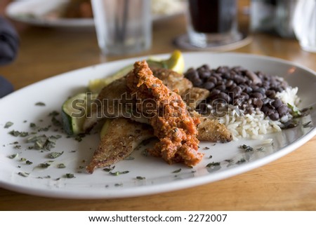 Flounder Meal with  rice and beans, in restaurant with natural light.