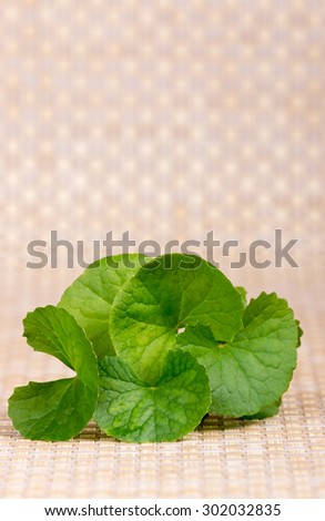 Herbal Thankuni leaves of indian subcontinent, Centella asiatica