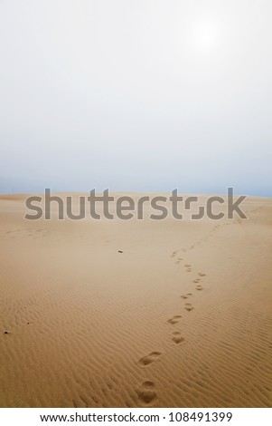 Footprints in sand dune landscape