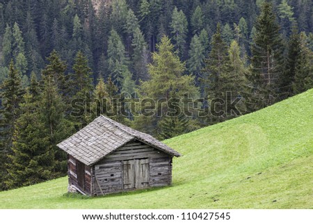 Countryside alp wood shed on the field