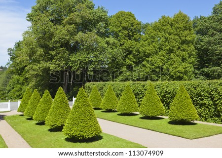 Castle garden with cone shaped trimmed trees