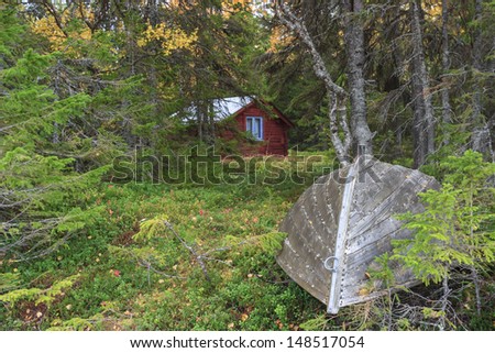 Rowing boat on land in the forest at the cottage