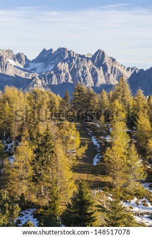 Path in the forest with mountains view in background