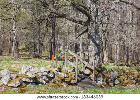Hiking trail over a stone wall in a spring pasture