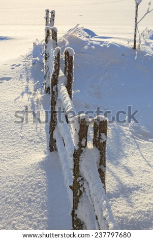 Snowy fence in winter garden