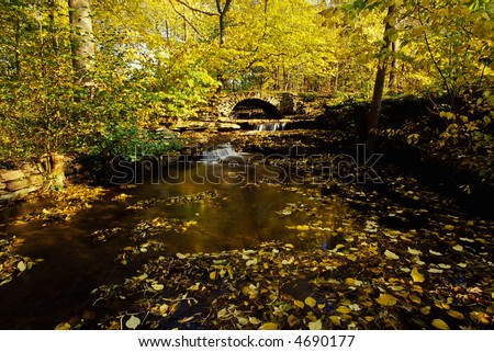 In as vesmru - Strnka 27 Stock-photo-old-stone-bridge-in-autmn-forest-4690177
