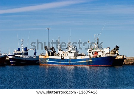 Fishing fleet in a harbour