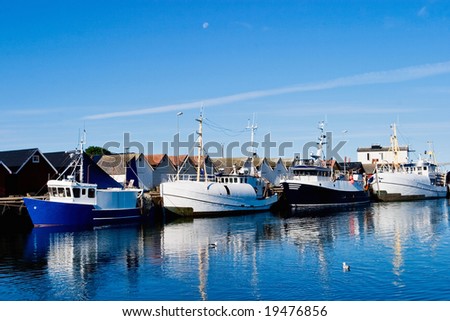 Fishing fleet in a harbour