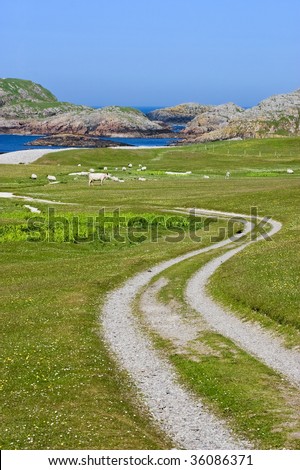 Winding dirt road through the landscape