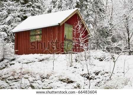 Red cabin in winter woods