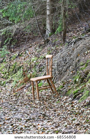 Chair on a path in the woods