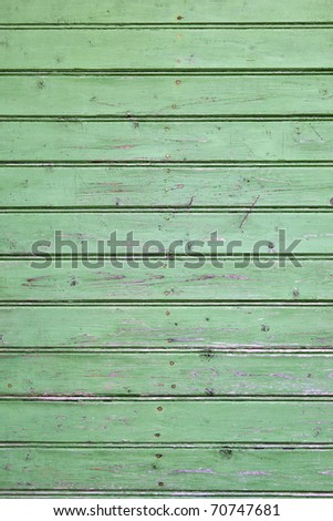 An green painted wall of the house