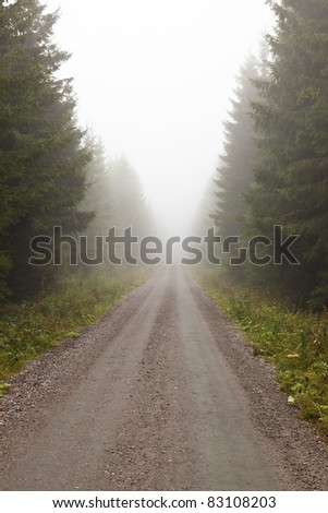 Gravel road in the foggy forest