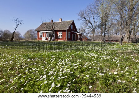 Cottage with wood anemones in the garden