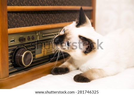 Kitty is listening to the retro radio