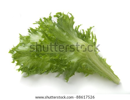 Frillice Lettuce