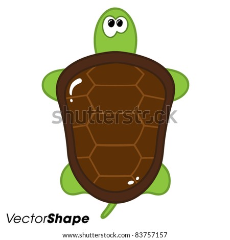 Funny Cartoon Turtle