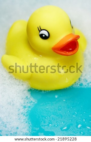 rubber ducky against  blue background
