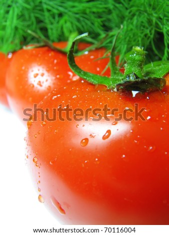 Tomatoes with drops and fennel branches on a back background.
