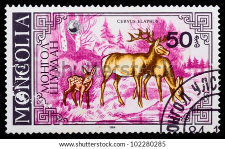 MONGOLIA - CIRCA 1984: A Stamp printed in MONGOLIA shows animal, series, circa 1984