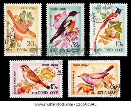 Ussr- Circa 1981: A Set Of Postage Stamps Printed In Ussr Shows Songbirds, Series, Circa 1981