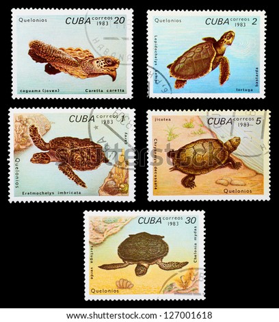 CUBA - CIRCA 1983: A set of postage stamps printed in CUBA shows wild animals - turtles, series, circa 1983