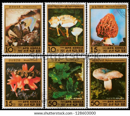 DPR KOREA - CIRCA 1986: A set of postage stamps printed in DPR KOREA shows mushrooms, series, circa 1986
