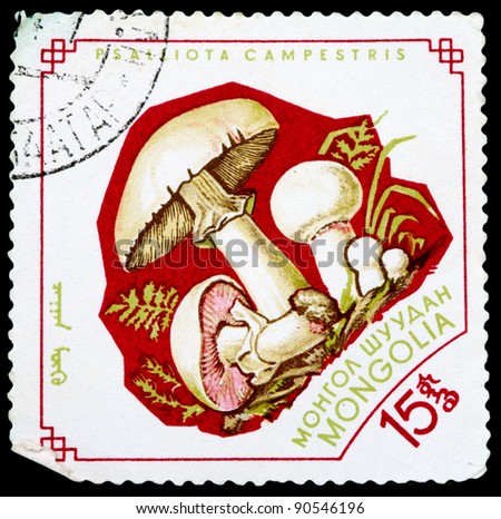 MONGOLIA - CIRCA 1964: A Stamp printed in MONGOLIA shows image of the Psalliota Campestris, from the series \