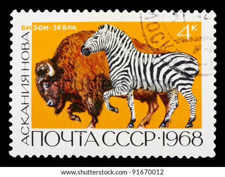 USSR - CIRCA 1968: a stamp printed by USSR shows buffalo and zebra, series animals, circa 1968