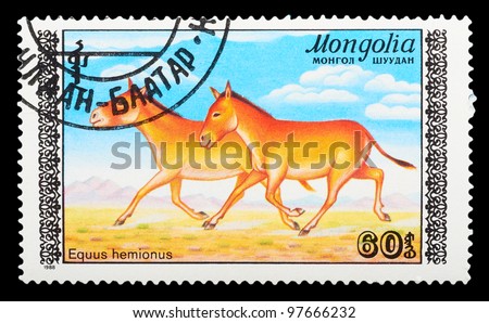 MONGOLIA - CIRCA 1988: A stamp printed in BULGARIA shows horse, series, circa 1988