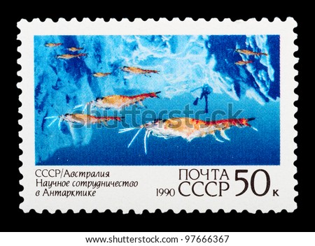 USSR - CIRCA 1990: The postal stamp printed in USSR shows Scientific research in Antarctica , \