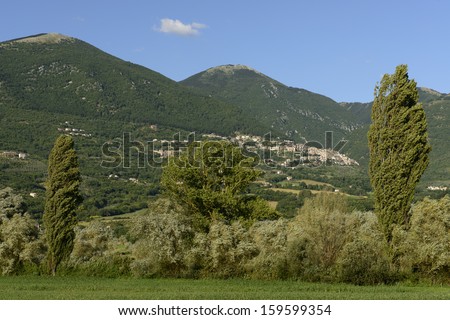 windy trees near Poggio Bustone, Rieti valley; view of trees bent by wind in the lush countryside  in the \