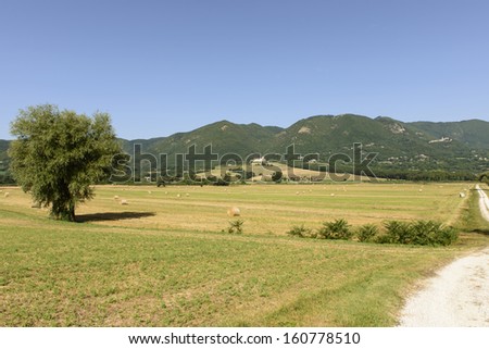 green fields, Rieti; grass fields in the lush countryside of the \