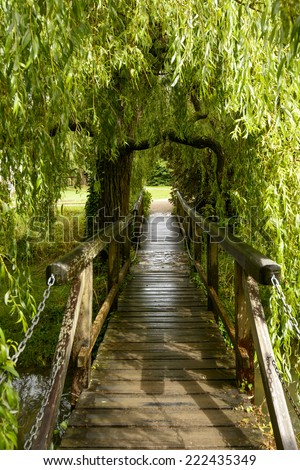small wooden bridge under willow tree at  Bishop Palace,Wells view of small pedestrian wooden bridge under a willow tree in garden of the ancient palace